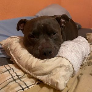 Meet your Posher, Kennedi